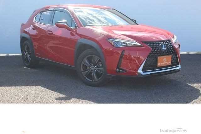 2019 Lexus Other