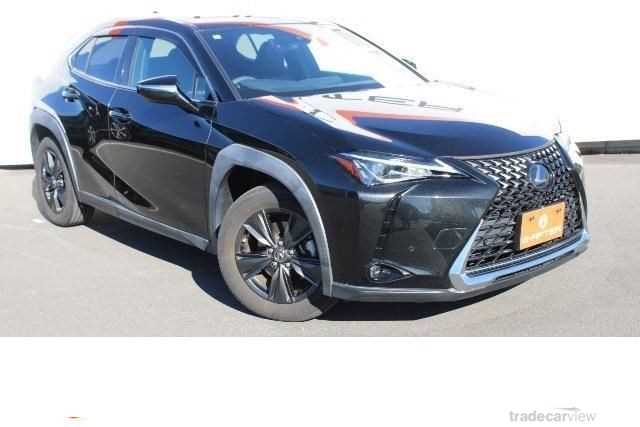 2019 Lexus Other