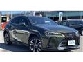 2019 Lexus Other