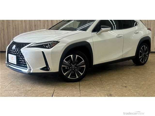 2019 Lexus Other