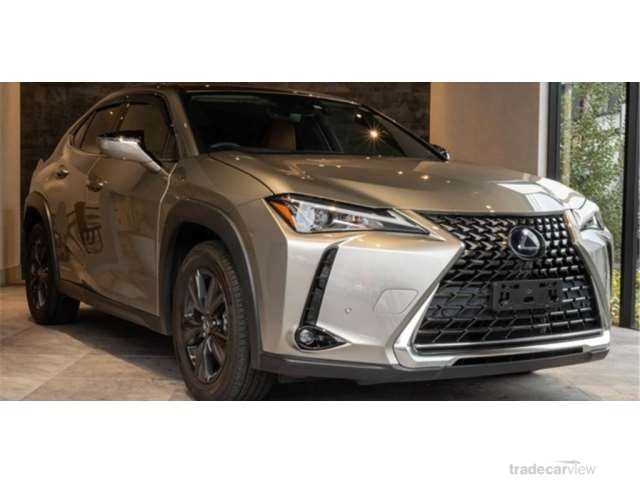 2019 Lexus Other