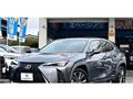 2019 Lexus Other