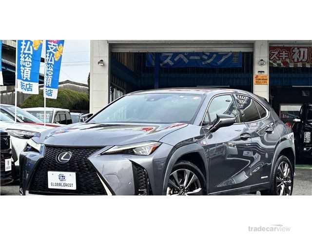 2019 Lexus Other