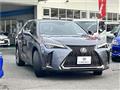 2019 Lexus Other