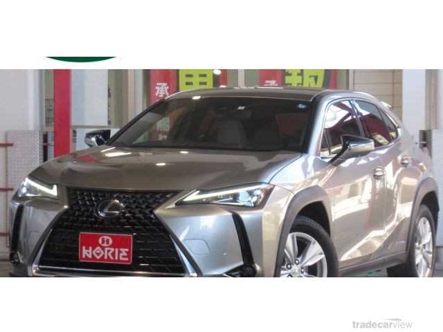 2019 Lexus Other