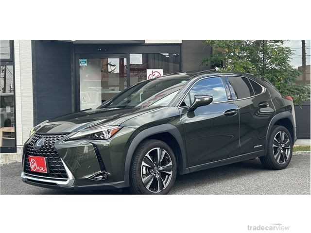 2019 Lexus Other