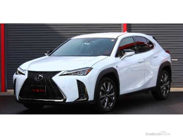 2019 Lexus Other