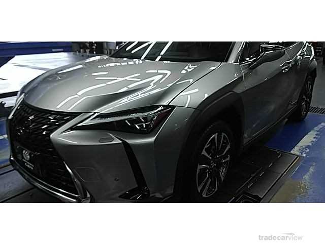 2019 Lexus Other