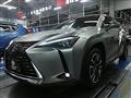 2019 Lexus Other