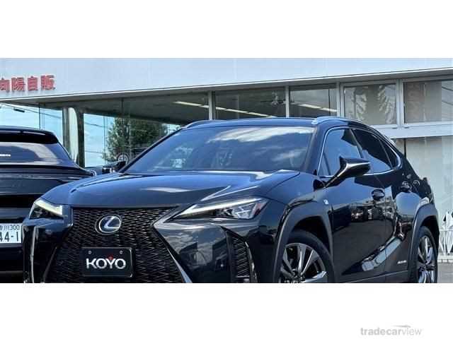 2019 Lexus Other