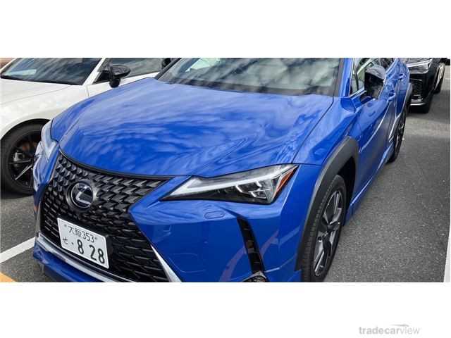 2019 Lexus Other