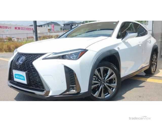 2019 Lexus Other