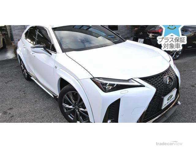 2019 Lexus Other