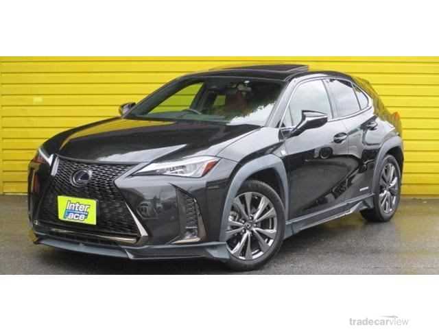 2019 Lexus Other