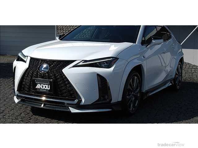 2019 Lexus Other