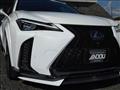 2019 Lexus Other