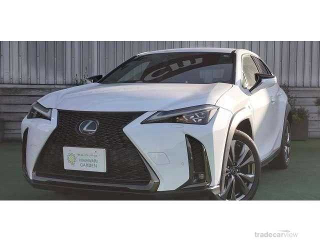 2018 Lexus Other