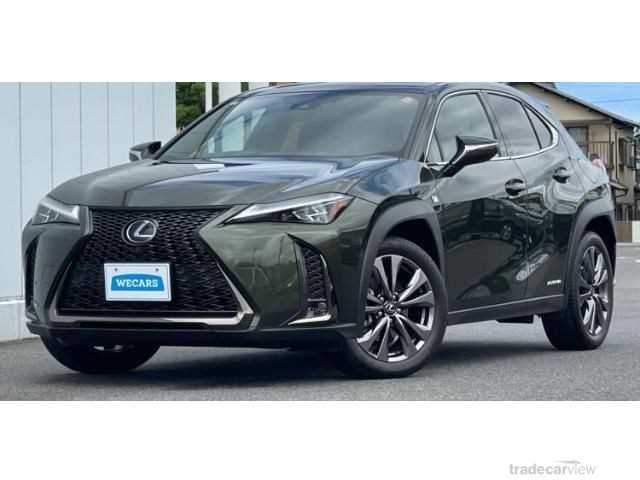 2018 Lexus Other