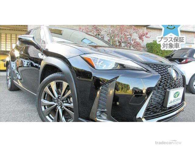 2018 Lexus Other