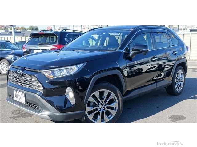 2019 Toyota RAV4