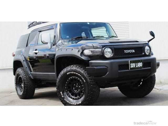 2011 Toyota FJ Cruiser