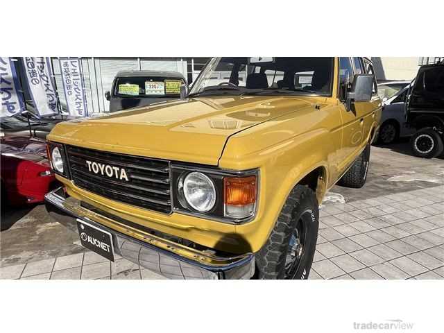 1989 Toyota Land Cruiser