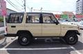 1995 Toyota Land Cruiser