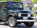 1981 Toyota Land Cruiser