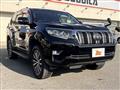 2019 Toyota Land Cruiser Prado