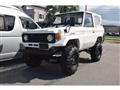 1992 Toyota Land Cruiser