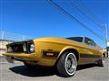 1973 Ford Mustang