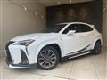 2020 Lexus Other