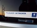 2007 Peugeot Peugoet Others