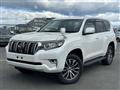 2019 Toyota Land Cruiser Prado