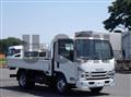 2023 Isuzu Elf Truck