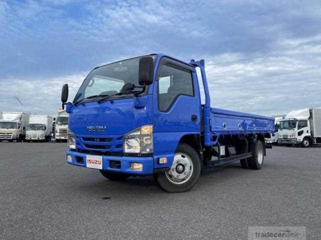 2020 Isuzu Elf Truck