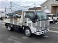 2019 Isuzu Elf Truck