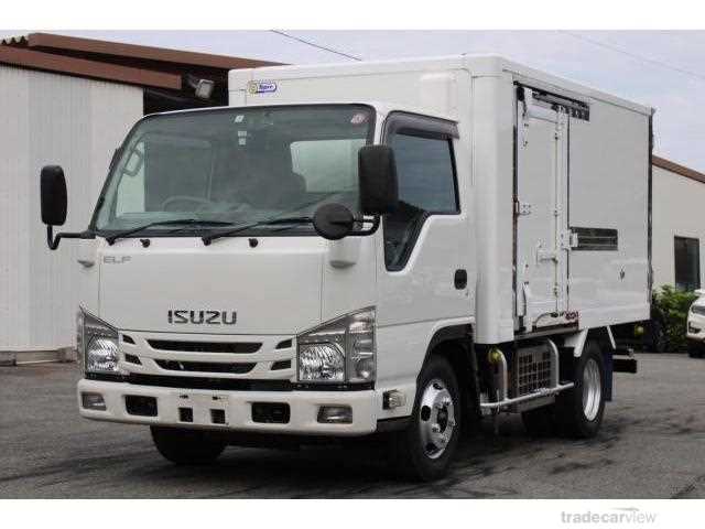 2019 Isuzu Elf Truck