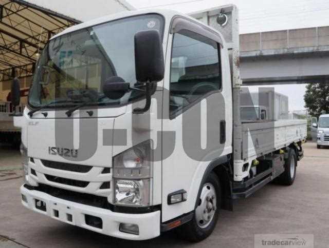 2020 Isuzu Elf Truck