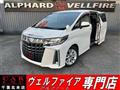 2019 Toyota Alphard G