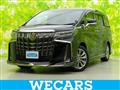 2020 Toyota Alphard G