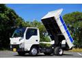 2014 Isuzu Elf Truck