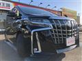 2020 Toyota Alphard G