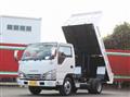 2017 Isuzu Elf Truck