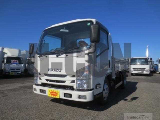 2019 Isuzu Elf Truck