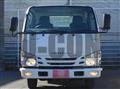 2019 Isuzu Elf Truck