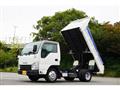 2019 Isuzu Elf Truck