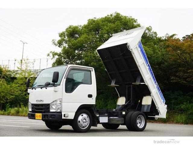 2019 Isuzu Elf Truck