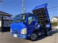 2019 Isuzu Elf Truck