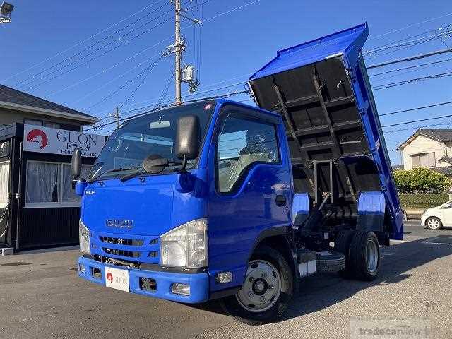 2019 Isuzu Elf Truck